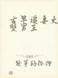 古早追妻火葬场双男主封面