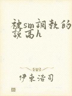 被sm调教的小说高h