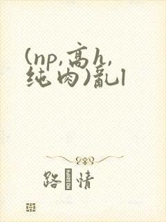 (np,高h,纯肉)乱l