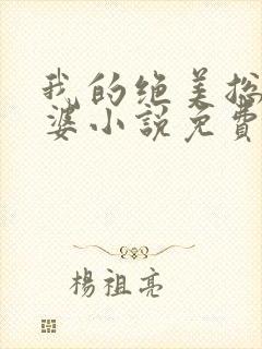 我的绝美总裁老婆小说免费