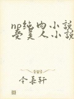 np纯肉小说总受美人小说