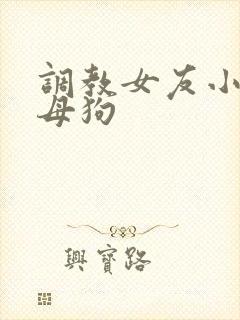 调教女友小说当母狗封面