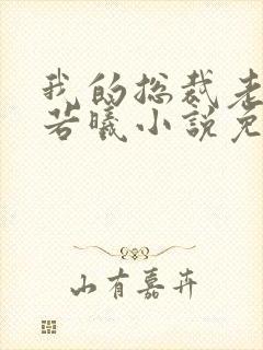 我的总裁老婆林若曦小说免费