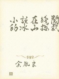 小说在线阅读我的冰山总裁老婆