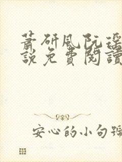 萧研风阮瑶光小说免费阅读最新章节