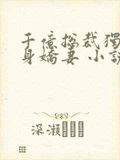 千亿总裁独宠替身娇妻 小说完整封面