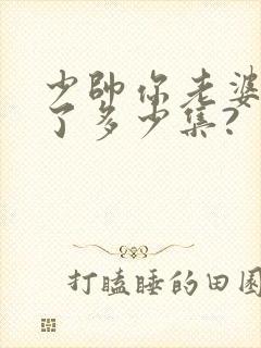 少帅你老婆又跑了多少集?