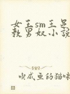 女王sm玉足调教男奴小说