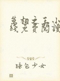 万相之王小说在线免费阅读完整版