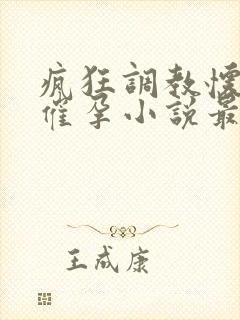 疯狂调教怀孕h催孕小说最新章节