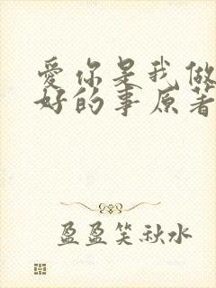 爱你是我做过最好的事原著