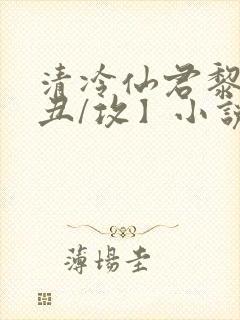 清冷仙君黎锦【丑/攻】小说