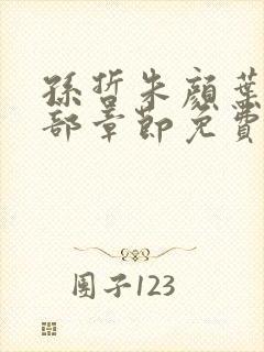 孙哲朱颜叶巧全部章节免费阅读