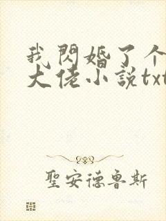 我闪婚了个财阀大佬小说txt