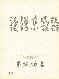 洗脑催眠改造服从的小说推荐小说