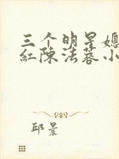 三个明星媳妇陈红陈法蓉小说封面