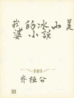 我的冰山美女老婆 小说