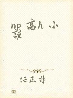 np 高h 小说