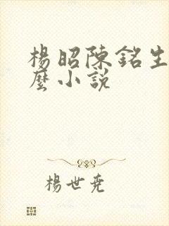 杨昭陈铭生是什么小说