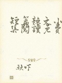 短篇辣文小说全集阅读免费