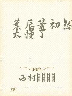 叶辰萧初然更新太慢了