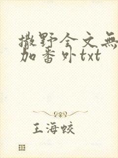 撒野全文无删减加番外txt封面