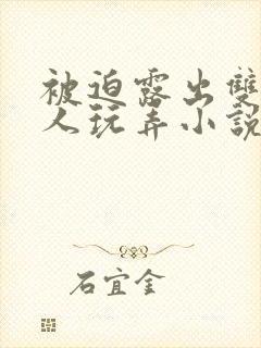 被迫露出双乳供人玩弄小说封面