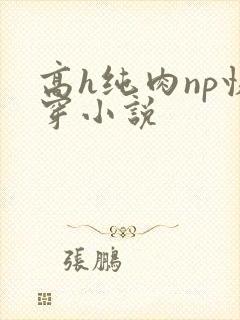 高h纯肉np快穿小说