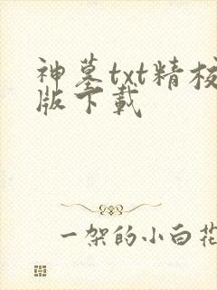 神墓txt精校版下载