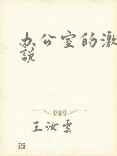 办公室的激情小说