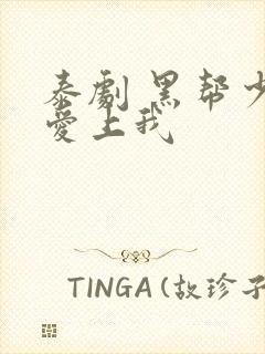 泰剧 黑帮少爷爱上我