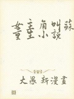 女主角叫苏洛的重生小说封面