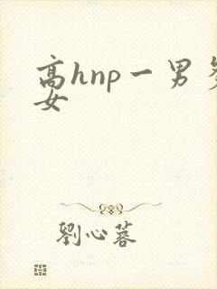 高hnp一男多女