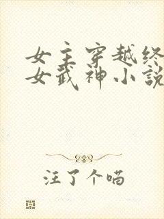 女主穿越终末的女武神小说