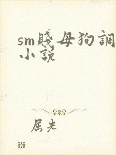 sm贱母狗调教小说封面
