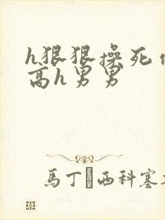 h狠狠操死你h高h男男