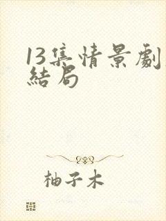 13集情景剧大结局