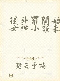 从斗罗开始俘获女神小说未删版完整封面