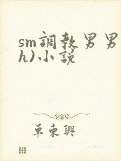 sm调教男男(h)小说封面