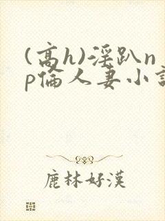 (高h)淫趴np伦人妻小说