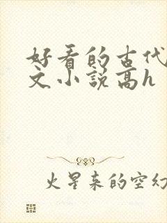 好看的古代调教文小说高h封面