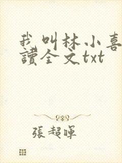 我叫林小喜全阅读全文txt