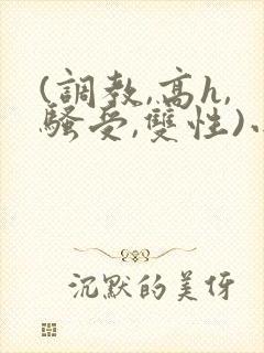 (调教,高h,骚受,双性)小说封面