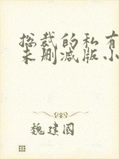 总裁的私有宝贝未删减版小说