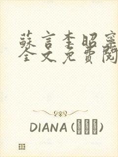 苏言李昭宁小说全文免费阅读封面