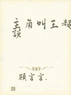 主角叫王超的小说