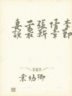 妻子张倩李源小说最新章节更新时间封面