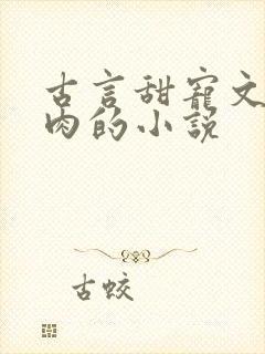 古言甜宠文有点肉的小说