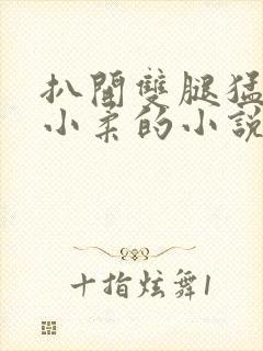 扒开双腿猛进入小柔的小说