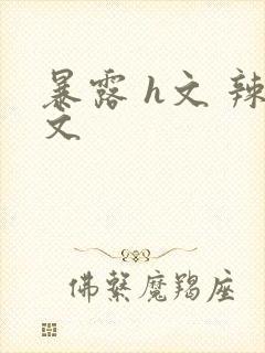 暴露 h文 辣文封面